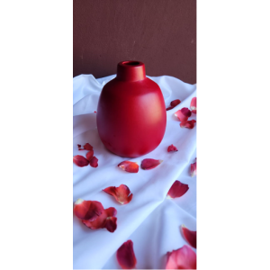 Red Flower Pot